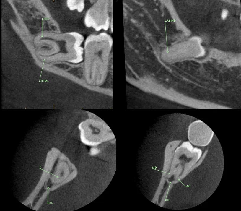 Screenshot 2025 09 24 at 17 14 08